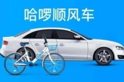 [7分钟教程]湛江公司咨询服务电话_哔哩哔哩-2